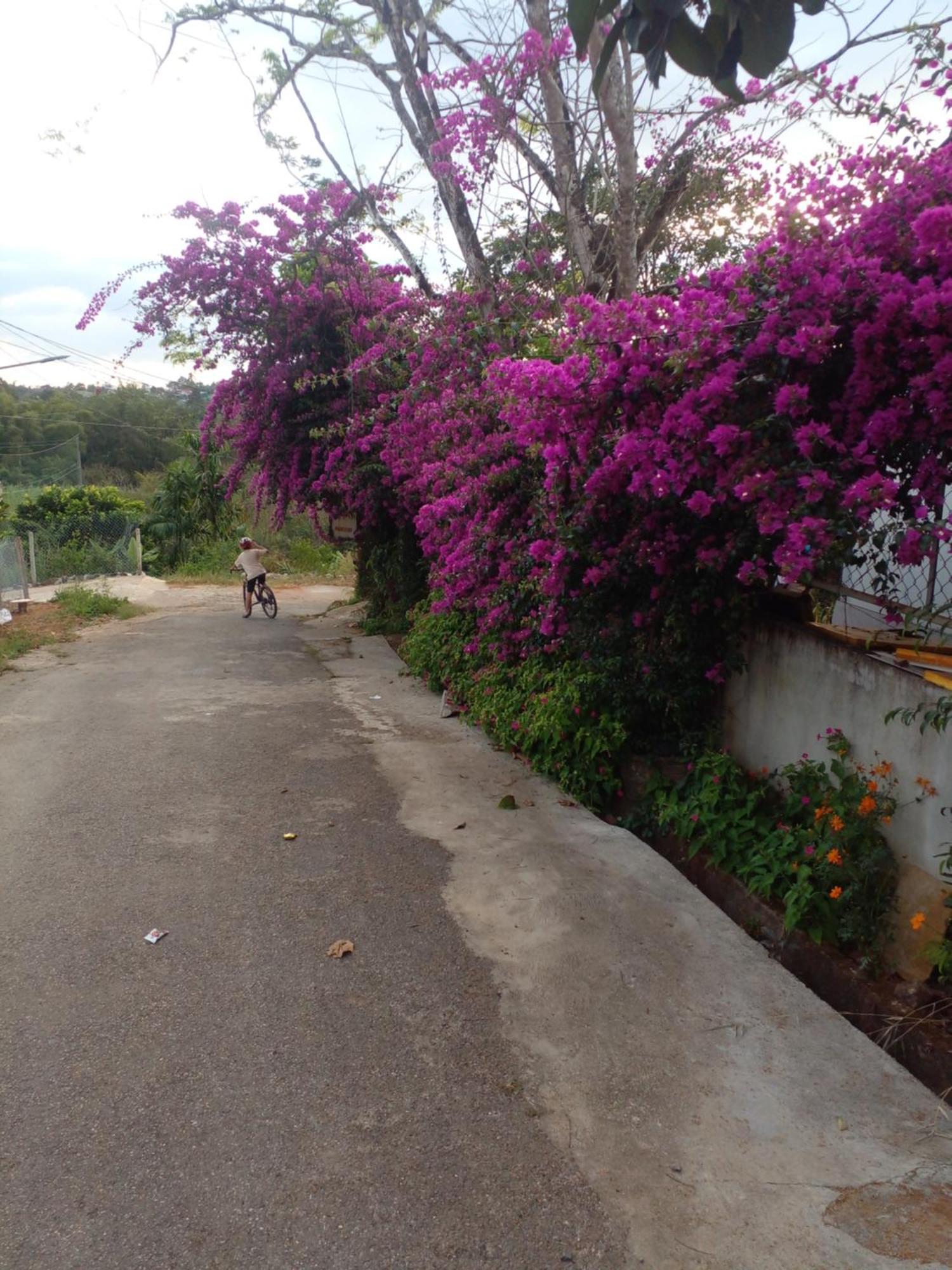 Ly'S Homestay Gia Nghĩa Exterior foto